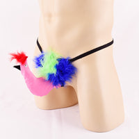 String homme fantaisie Oiseau
