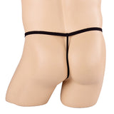 String homme fantaisie Oiseau