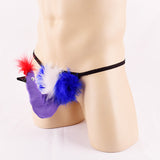 String homme fantaisie Oiseau