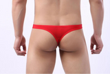 String Homme Murmerry