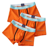 Lot Boxer Homme jackcaive