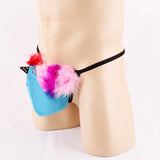 String homme fantaisie Oiseau